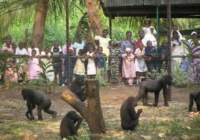 Limbe Botanic Garden