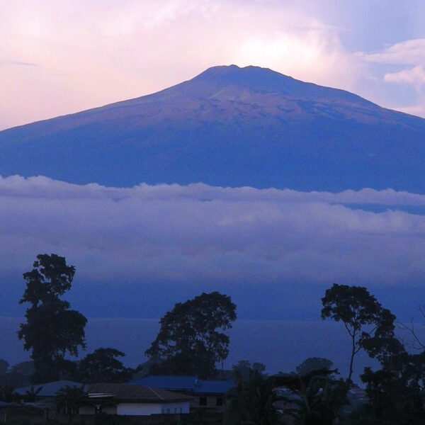 View of Mount Buea